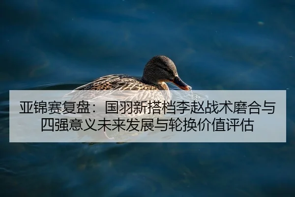 亚锦赛复盘：国羽新搭档李赵战术磨合与四强意义未来发展与轮换价值评估